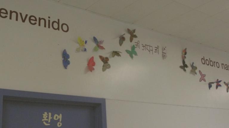 Photograph of Butterfly Exhibit