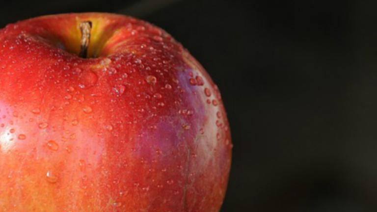 Image of a red apple. Health and wellness coaching leads to mindful eating.  Find out more about the Integrative Health online M.A. program at California Institute of Integral Studies (CIIS)