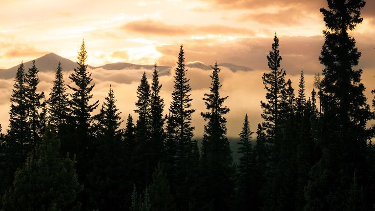 Image of sunset behind pine trees. CIIS ODI celebrates Native American Heritage Month.