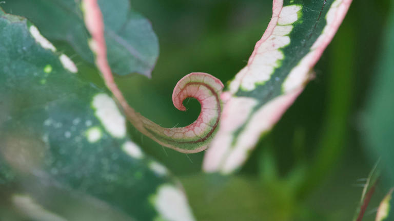 mr-pumpkins-NaYwFPjuTyM-unsplash--2000x1125