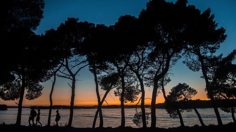 A tree-lined lake view with a gradient of blue to orange colors.