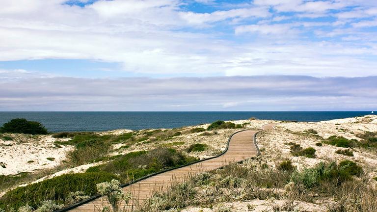 Asilomar boardwalk