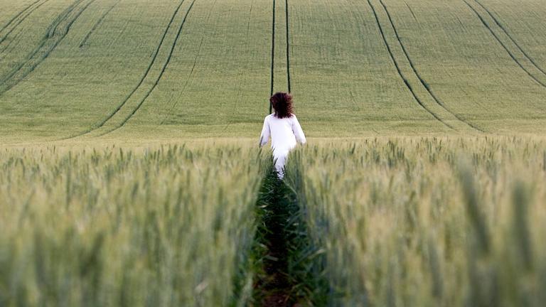 Leading With Purpose: A Journey Into Systemic Leadership