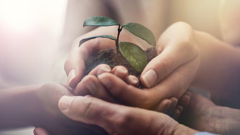 Intergenerational Trauma Workshop Series: Part 3