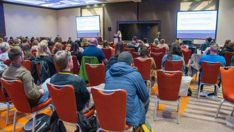 Psychedelic-Assisted Therapies and Research Certificate Program: Online Info Session