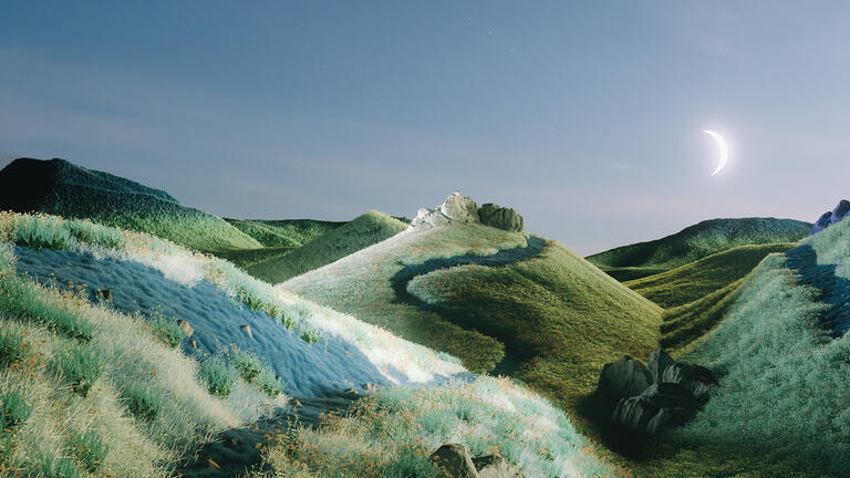 Rolling floral hills