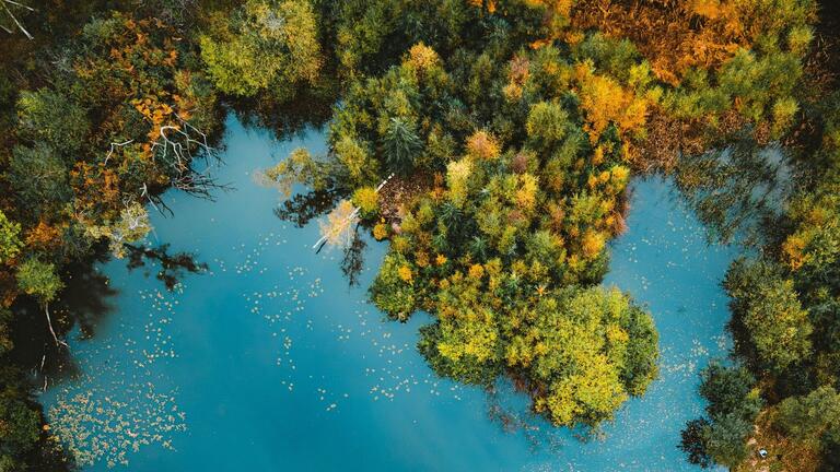 Multicultural Women’s Voices on Ecological and Social Healing