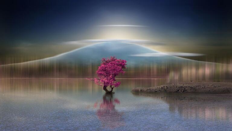 Lone tree with pink leaves in the middle of a lake with mountains in the background.