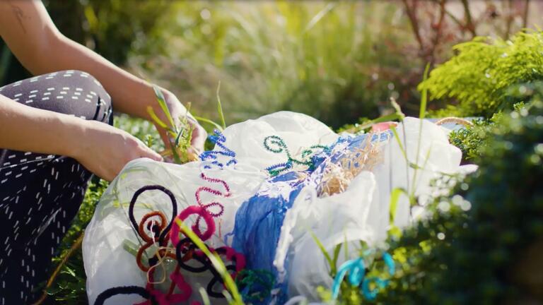 MFA Joint degree image