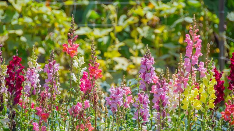 Explorations - taken at Urban Adamah during EXA fall 2025 Retreat