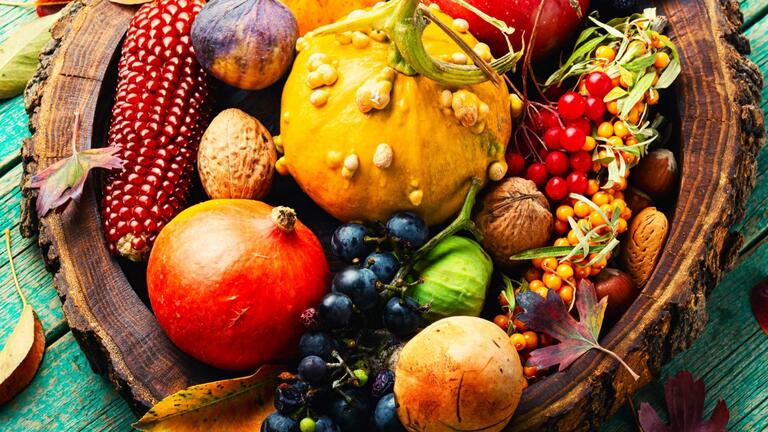 Transformative Leadership Harvest Circle