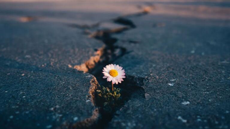 The Building Blocks of a New World