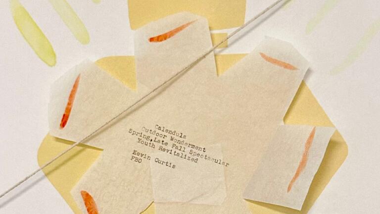 Summer Scent Haiku