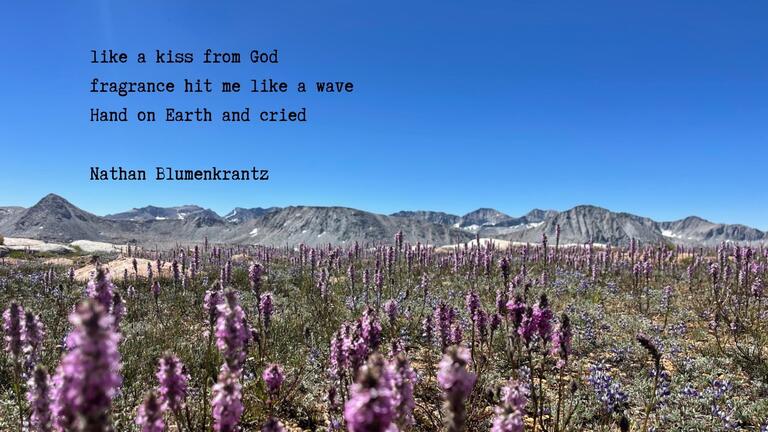 Summer Scent Haiku