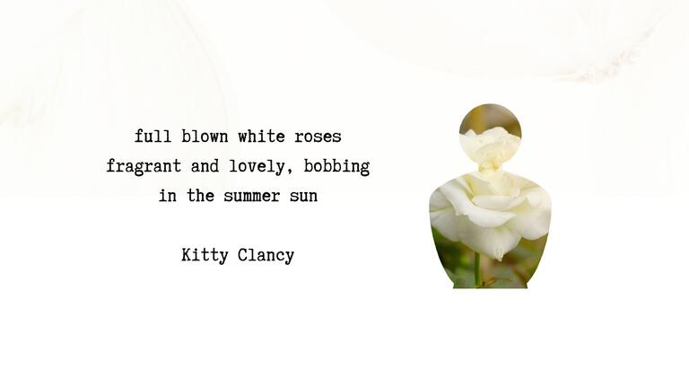 Summer Scent Haiku