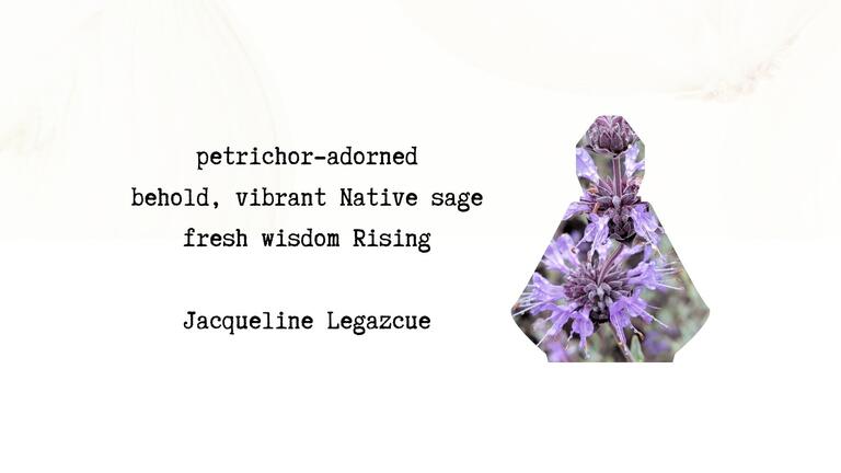 Summer Scent Haiku