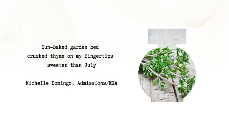 Summer Scent Haiku