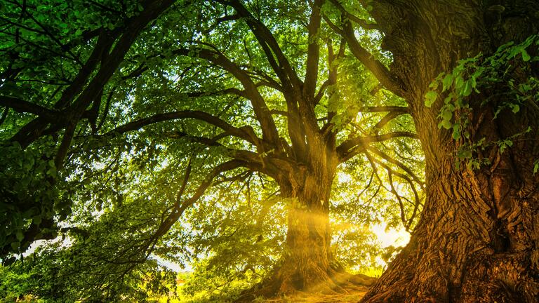 Aging as a Spiritual Feminist Practice