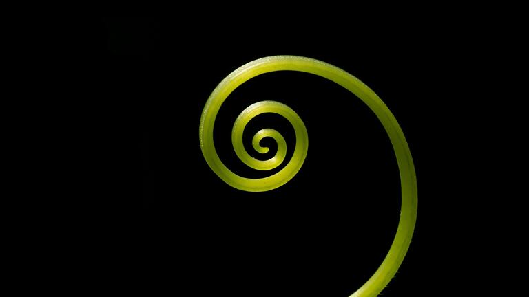 Understanding Shamanism (In-Person)