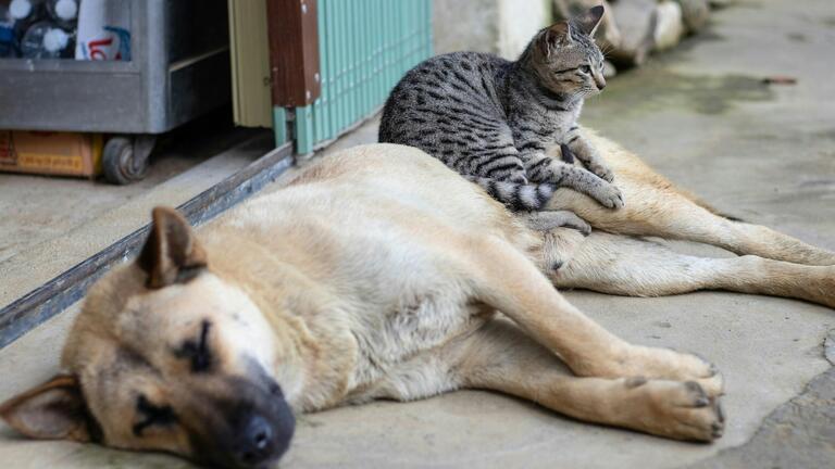 On the Power of Friendships