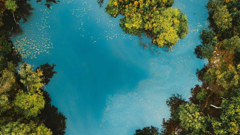Multicultural Women’s Voices on Ecological and Social Healing