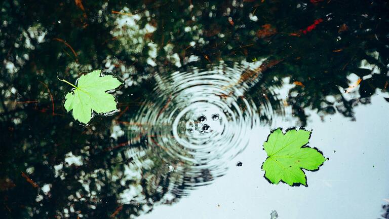 Healthy Relating Through Somatic Awareness