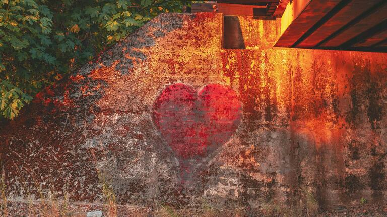 Politicized Somatics for Embodied Transformation