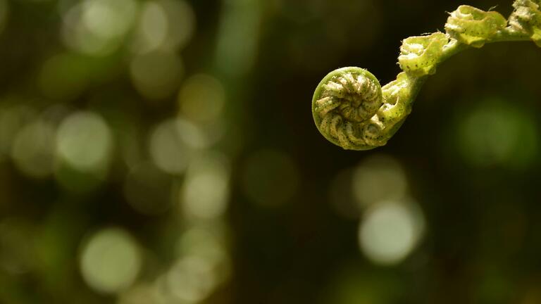 BioDynamic Breathwork for Stress and Trauma Release