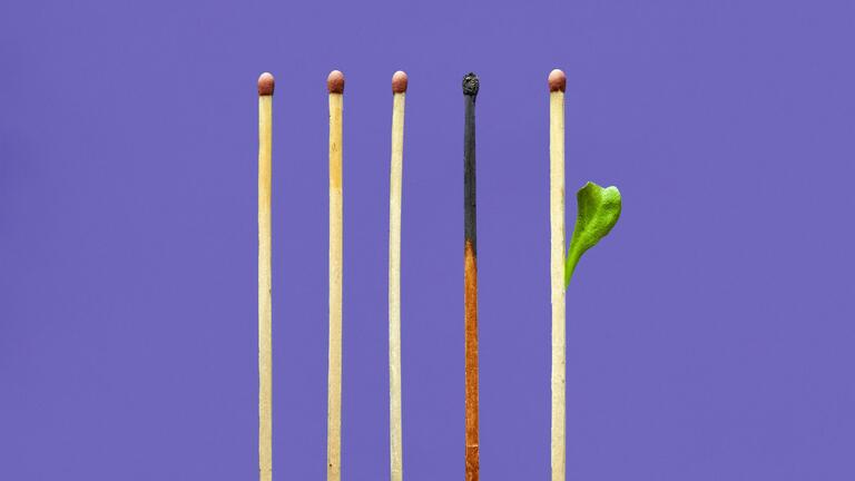 Healing Burnout Through Nature’s Wisdom (In Person)