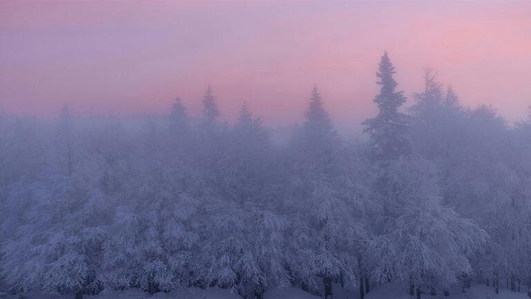 Honoring Your Inner Winter for Rest and Repair