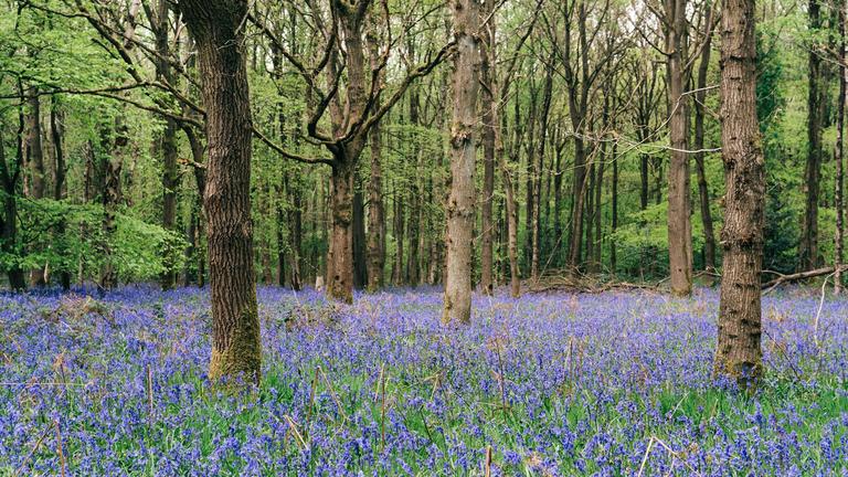 On Journeying Into the Landscapes of Our Ancestors