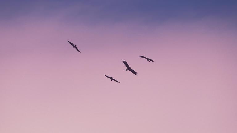 Overcoming Codependency Through Somatics and Breathwork