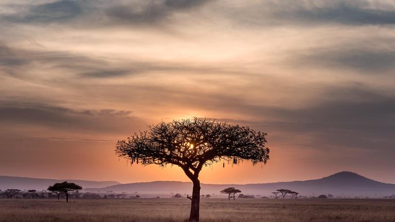 On Reclaiming African-Centered Joy and Well-Being Through Mindfulness (In-Person)