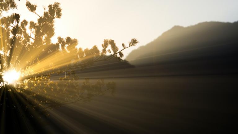Cultivating a Harmonious Relationship With Death