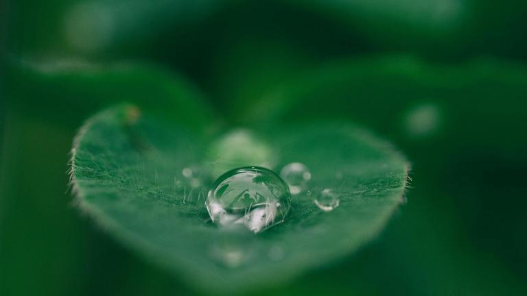 Building Resilient Boundaries for Empaths