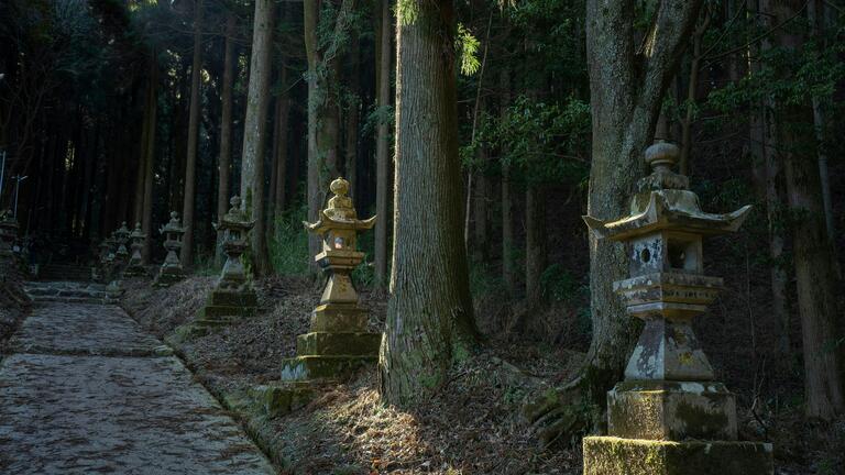 Exploring Internal Family Systems and the Buddhist Path of Awakening