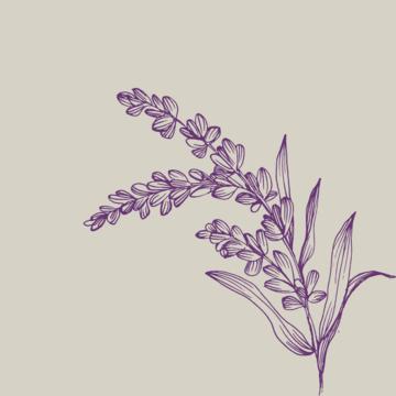 Lavendar Language Institute cover image