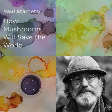 Paul Stamets How mushrooms will save the world