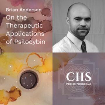 Brian T. Anderson: On the Therapeutic Applications of Psilocybin