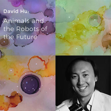 David Hu: Animals And The Robots Of The Future