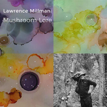 Lawrence Millman: Mushroom Lore