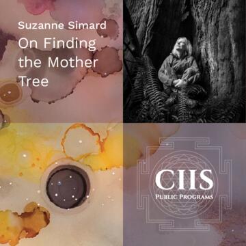 Suzanne Simard: On Finding the Mother Tree
