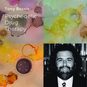 Revisting Celeste Headlee: Conversations That Matter