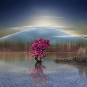 Lone tree with pink leaves in the middle of a lake with mountains in the background.
