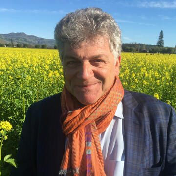 Alfonso Montuori