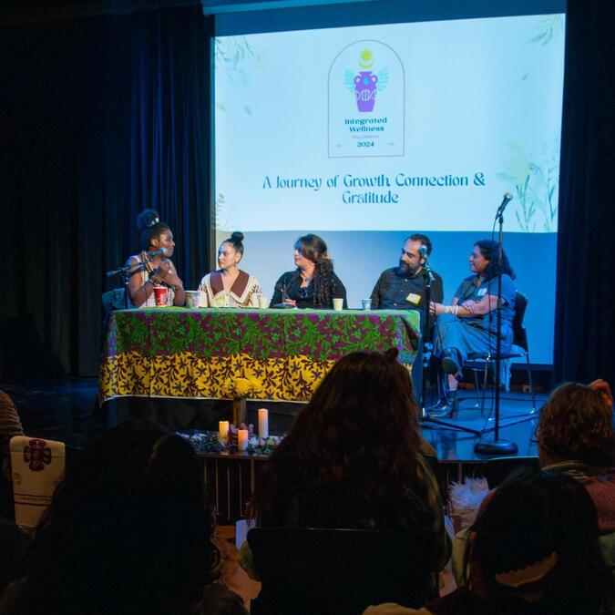 Harvesting the Wisdom: Building Healing Infrastructure Through the Integrated Wellness Fellowship 