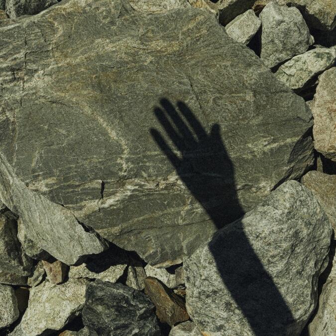 Being Addressed by the World: A Ph.D. in the More-Than-Human 