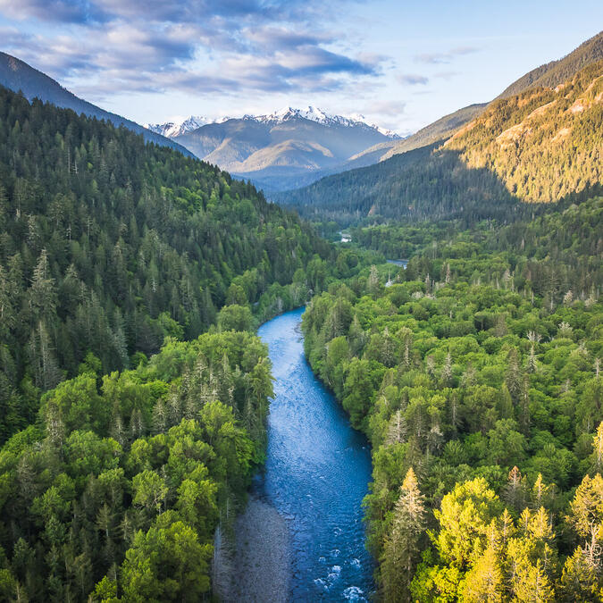 The CIIS Alum Giving Nature a Voice in the Courtroom