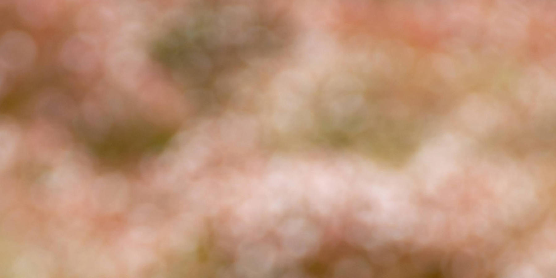 Academic Calendar San Francisco CA CIIS Academic Calendar San Francisco CA CIIS