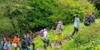 A Guided Walk With Black Forager 